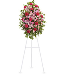 Pink Tribute Spray from Schultz Florists, flower delivery in Chicago